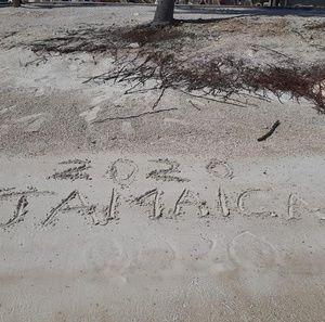 Meet your Posher, Tisha